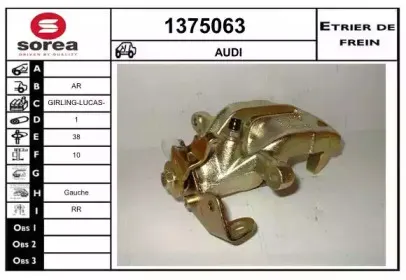 snra-1375063