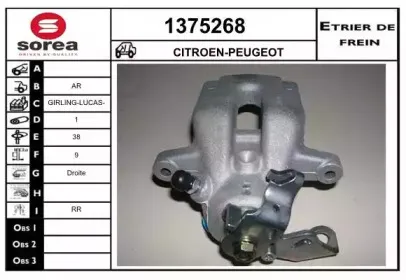snra-1375268