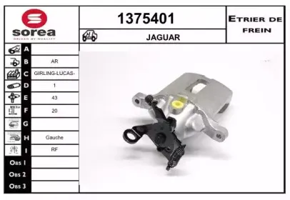 snra-1375401