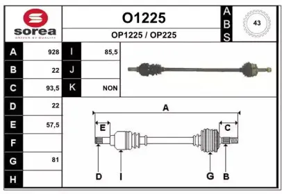 snra-o1225