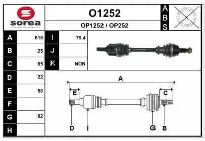 snra-o1252