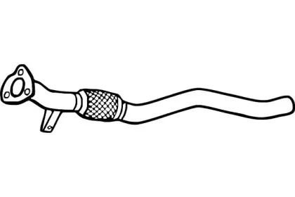 fenno-p1306