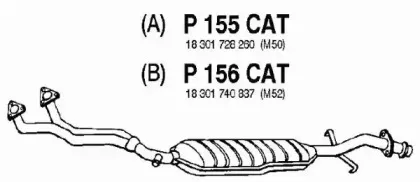 fenno-p155cat