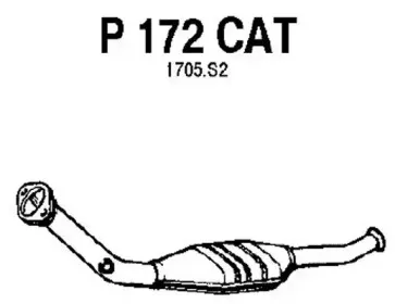 fenno-p172cat