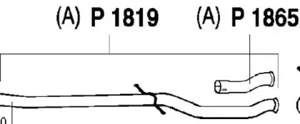 fenno-p1819