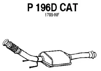 fenno-p196dcat