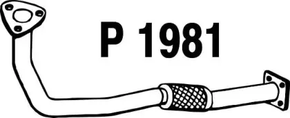 fenno-p1981