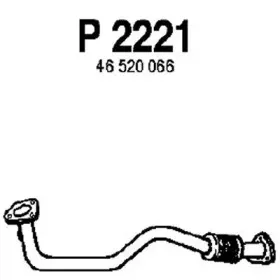 fenno-p2221