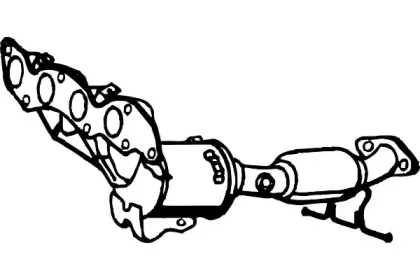 fenno-p234cat