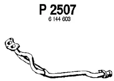 fenno-p2507