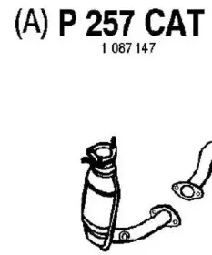 fenno-p257cat