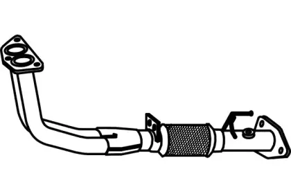 fenno-p2821