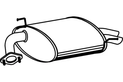 fenno-p2824