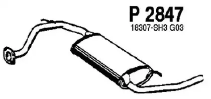 fenno-p2847
