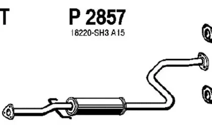fenno-p2857