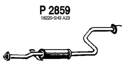 fenno-p2859