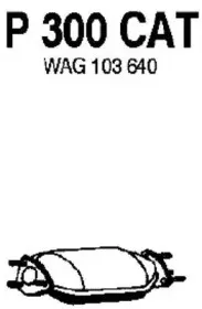 fenno-p300cat