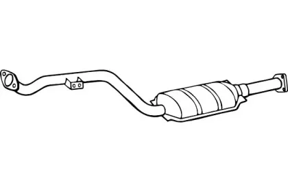 fenno-p376cat