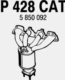fenno-p428cat