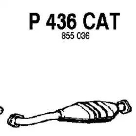 fenno-p436cat