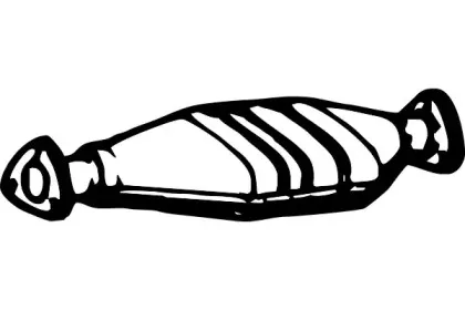 fenno-p439cat
