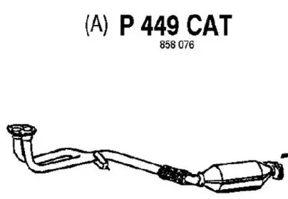 fenno-p449cat