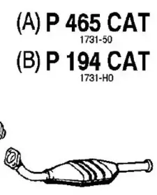 fenno-p465cat