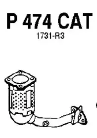 fenno-p474cat