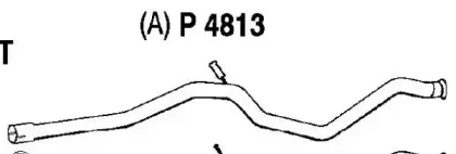 fenno-p4813