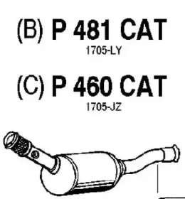 fenno-p481cat
