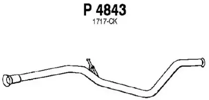 fenno-p4843