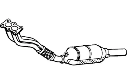 fenno-p557cat