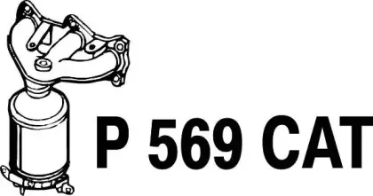 fenno-p569cat