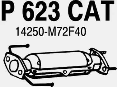 fenno-p623cat