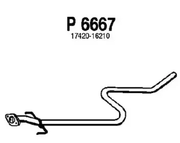 fenno-p6667