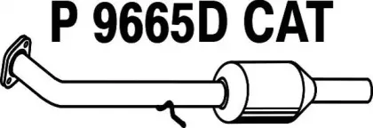 fenno-p9665dcat
