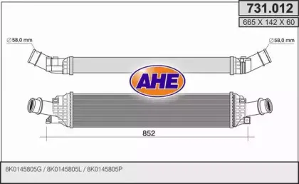 ahe-731012