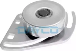 APV2006 DAYCO