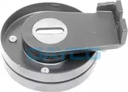 APV2047 DAYCO Натяжитель ремня, клиновой зубча