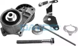APV2366 DAYCO