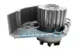 dayco-dp032