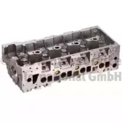 50003121 KOLBENSCHMIDT Головка цилиндра