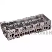 50003125 KOLBENSCHMIDT Головка цилиндра