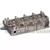 50003152 KOLBENSCHMIDT Головка цилиндра