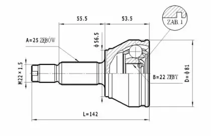 C.202 STATIM