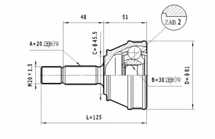 statim-c304