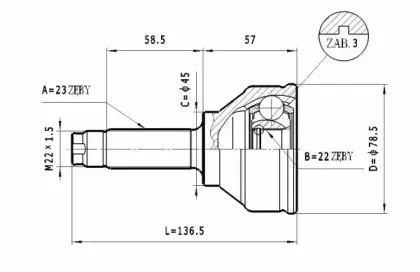statim-c434