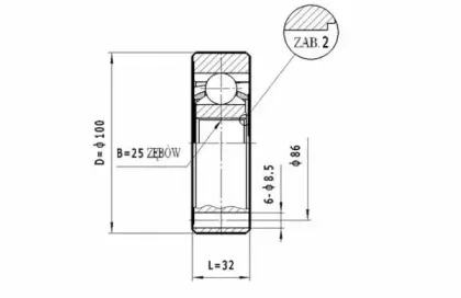 statim-cw038