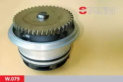 statim-w079