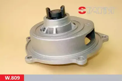 W.809 STATIM Водяной насос